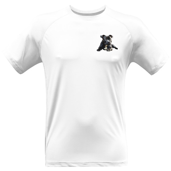 Pánské funkční tričko Premium s potiskem Black Stafford 